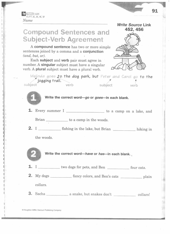 6+1 Traits Series: Conventions + Sentence Fluency (Grammar 101